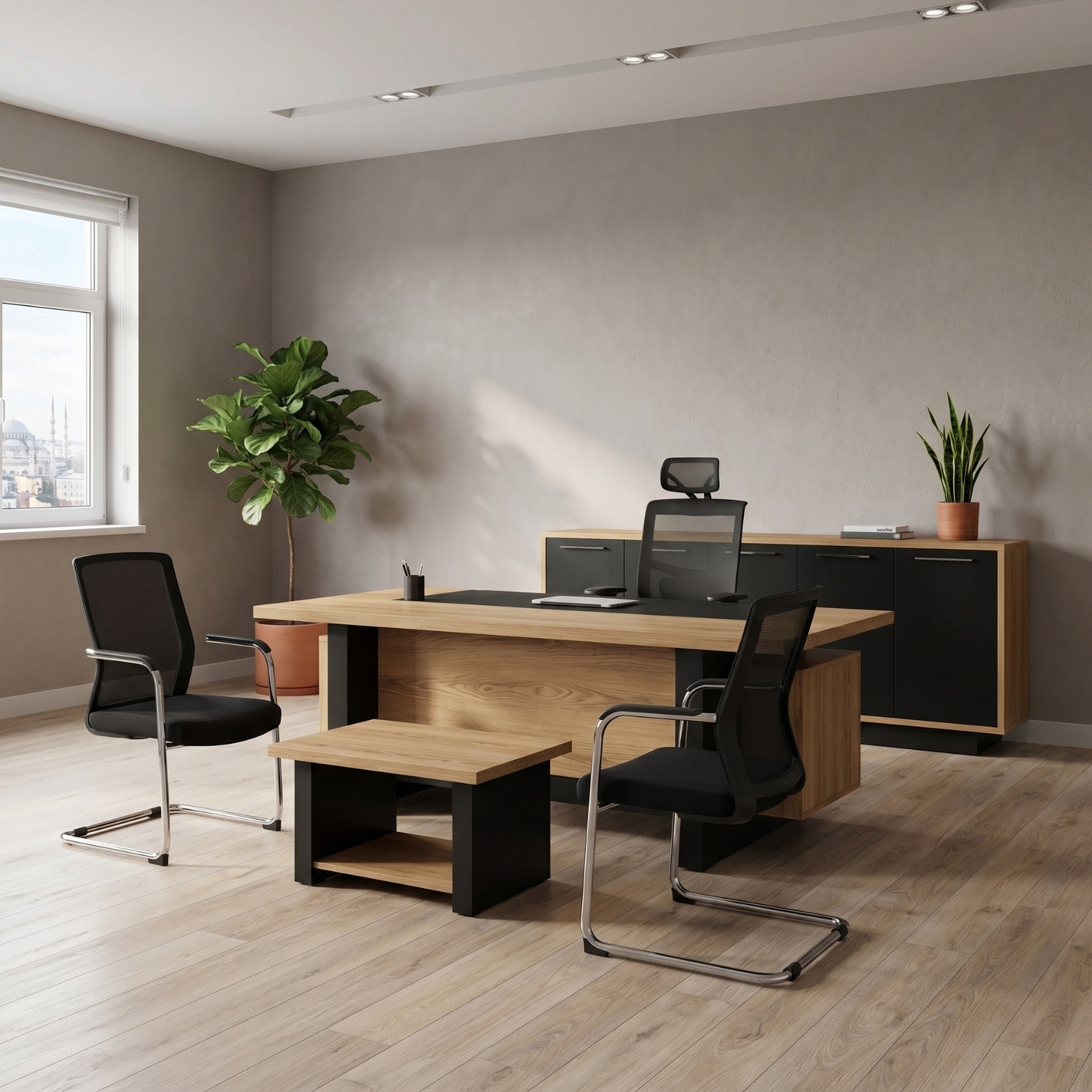 Set Executive për Zyre Biela