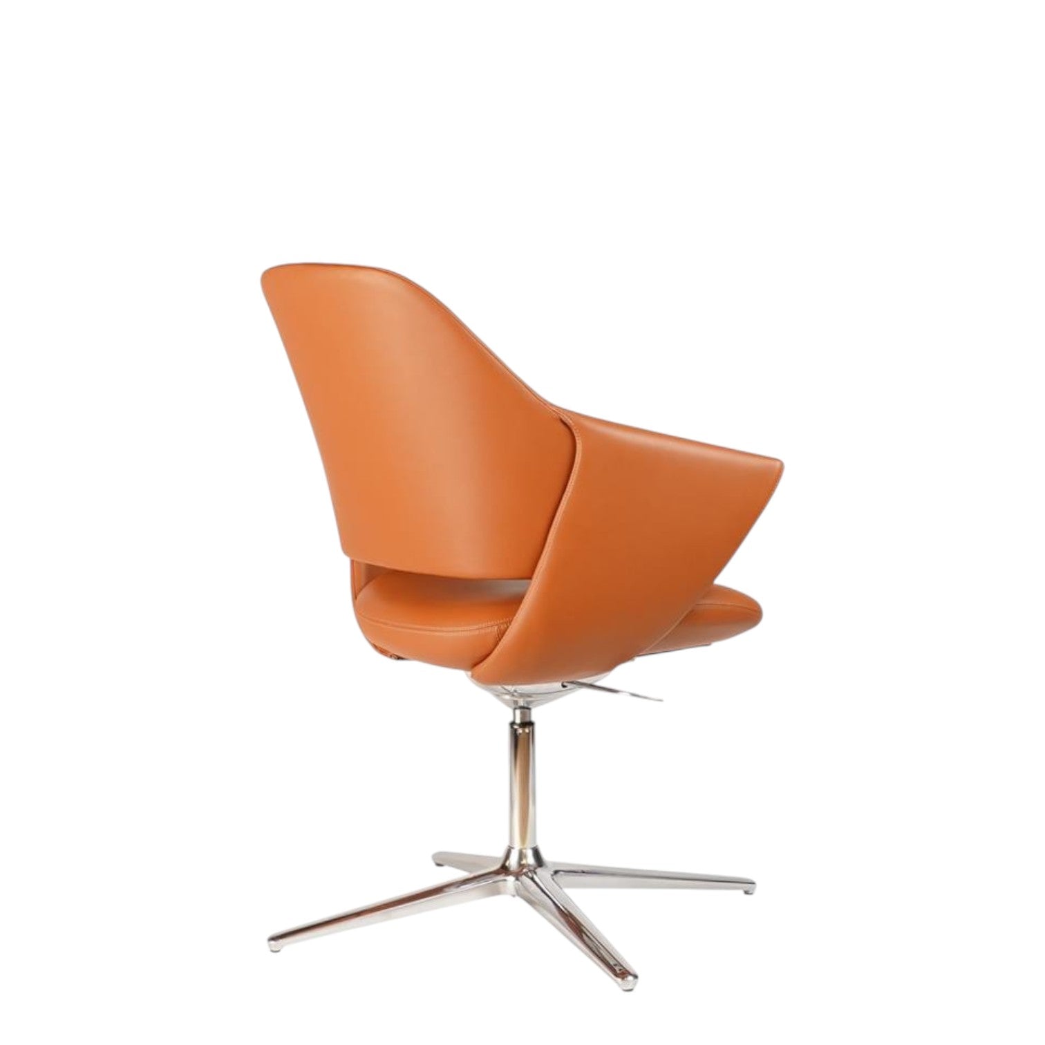 STAR-X (BROWN)