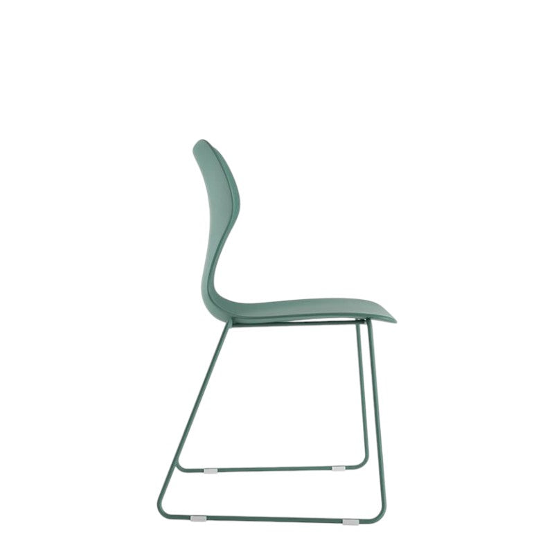 WHALE 1 - GREEN