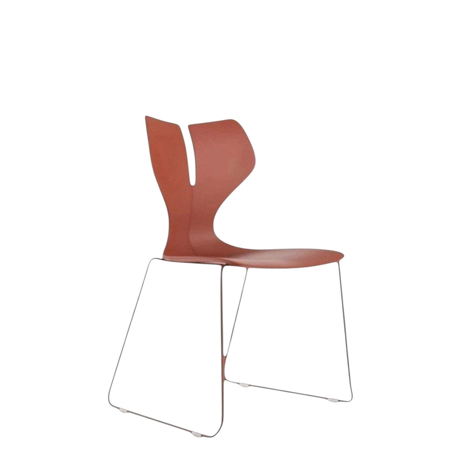 WHALE 1 - RED