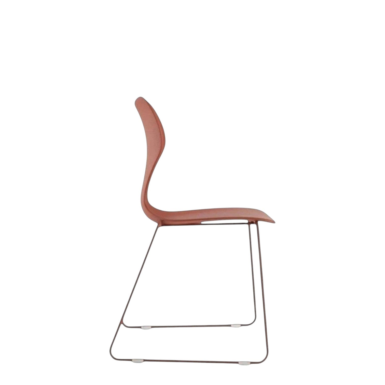 WHALE 1 - RED