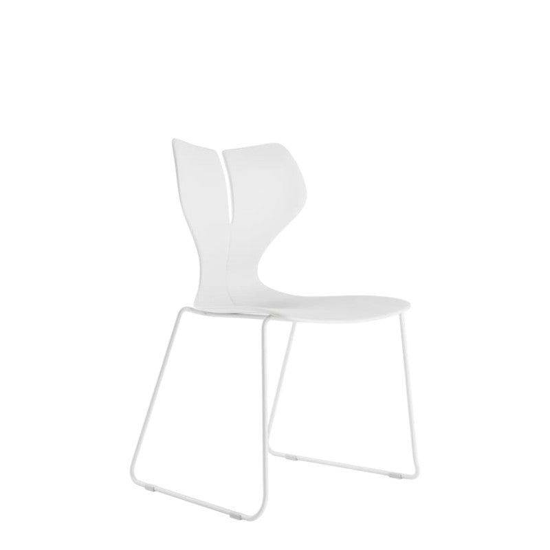 WHALE 1 - WHITE