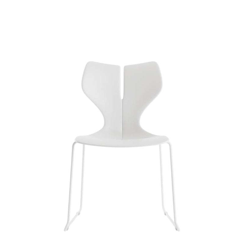 WHALE 1 - WHITE