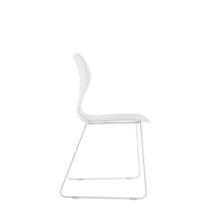 WHALE 1 - WHITE