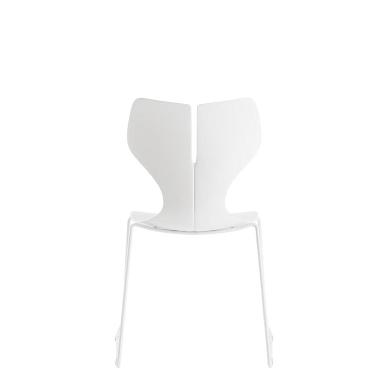 WHALE 1 - WHITE