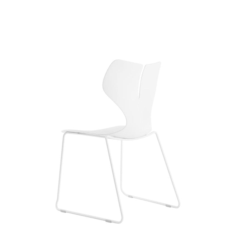 WHALE 1 - WHITE