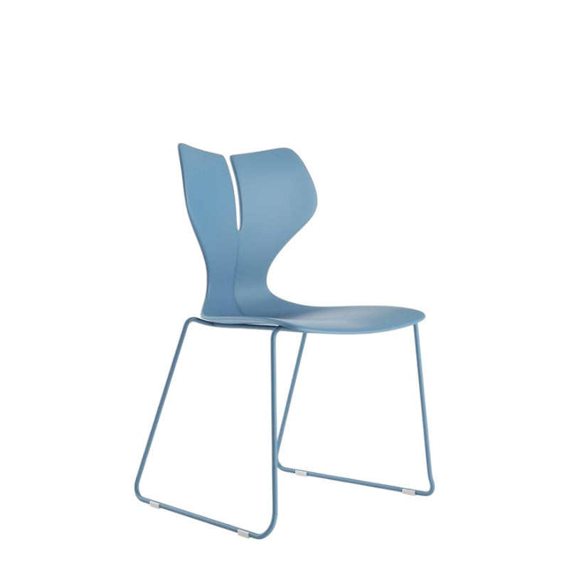 WHALE 1 - BLUE