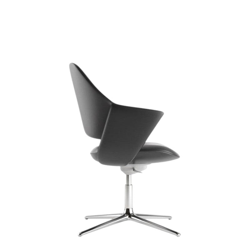 STAR-X (BLACK)