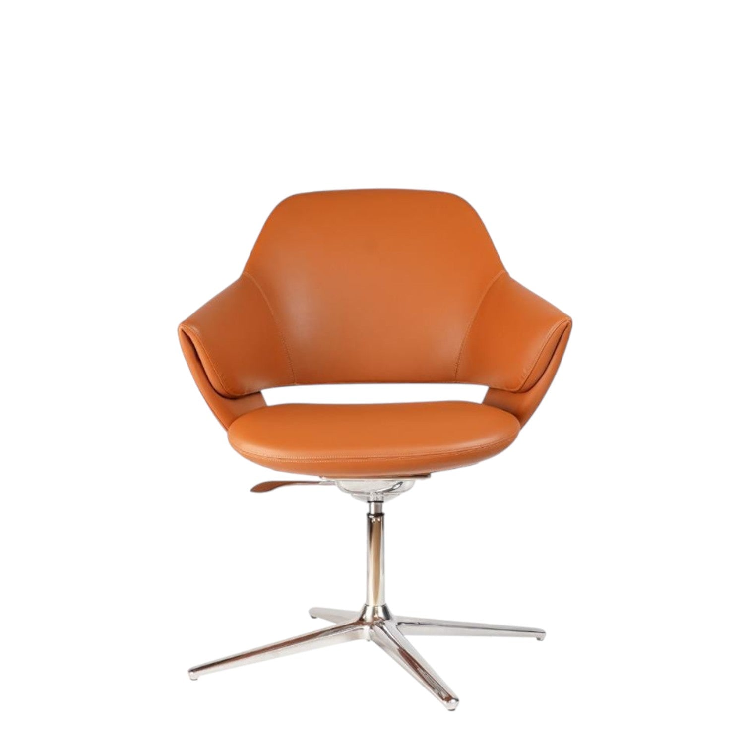 STAR-X (BROWN)