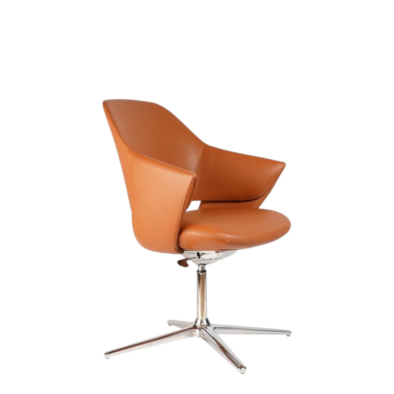 STAR-X (BROWN)
