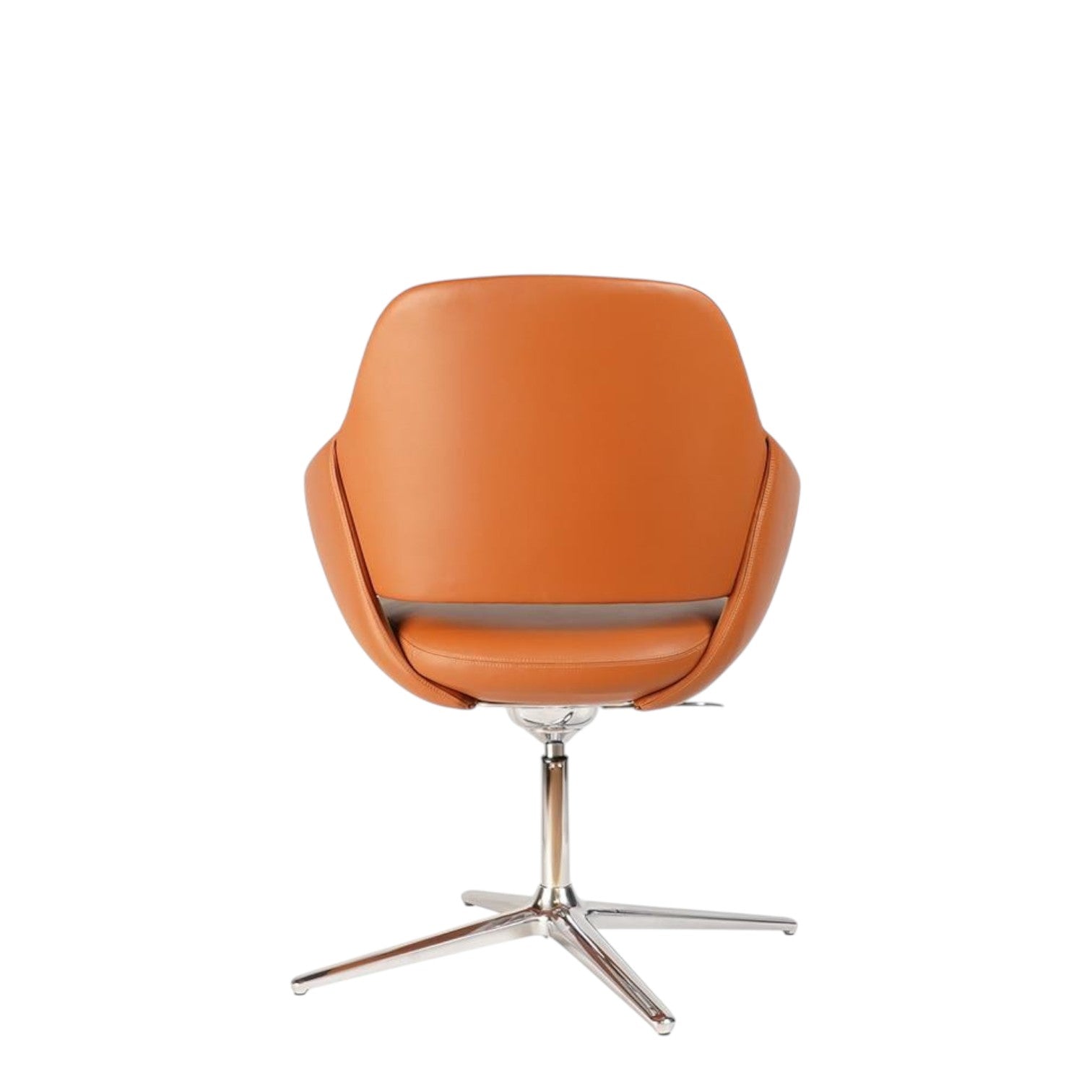 STAR-X (BROWN)