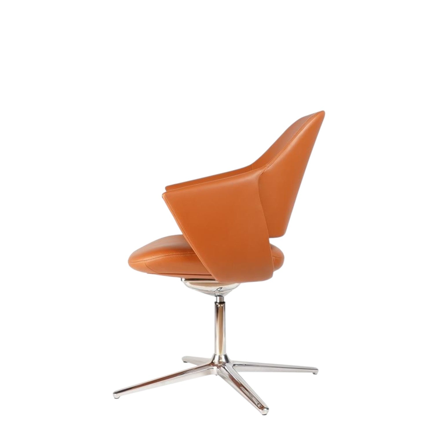 STAR-X (BROWN)